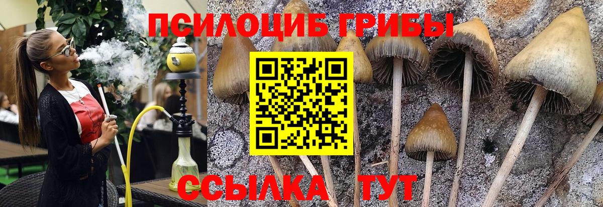 Уссурийск  Псилоцибиновые грибы Cubensis  Вход с VPN 
