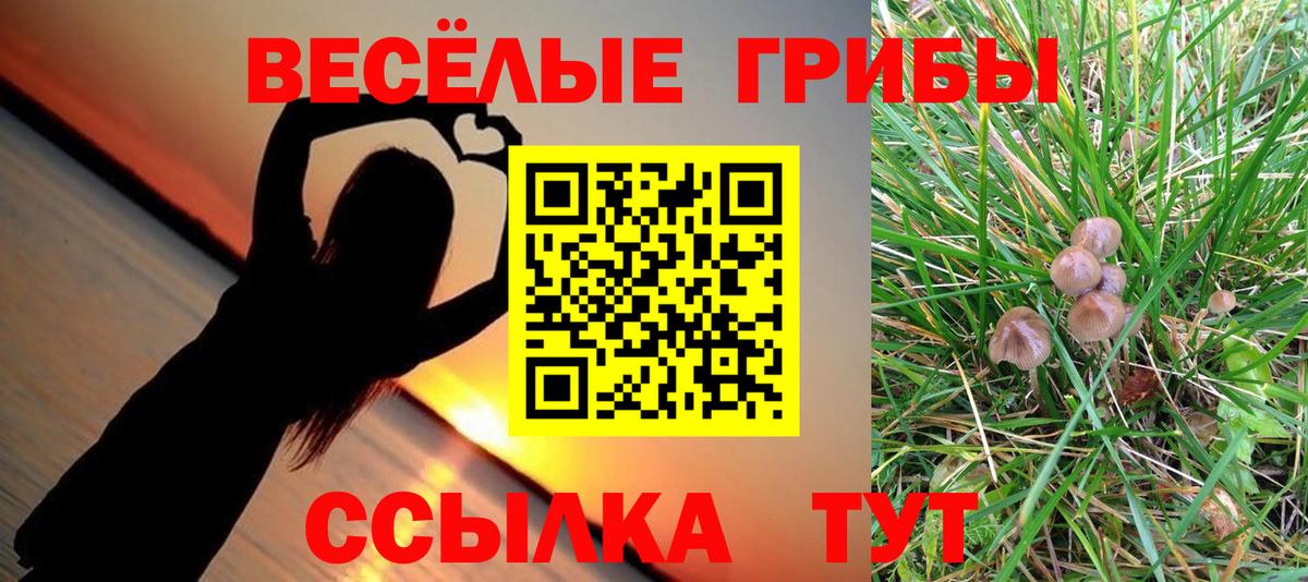 Псилоцибиновые грибы Magic Shrooms Уссурийск